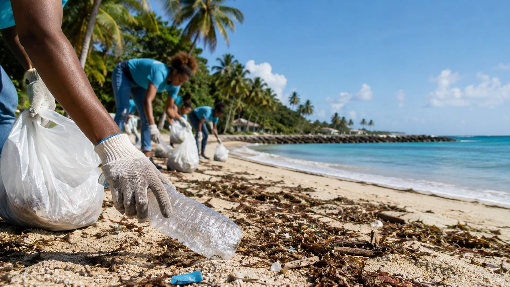 Journée mondiale nettoyage des plages
